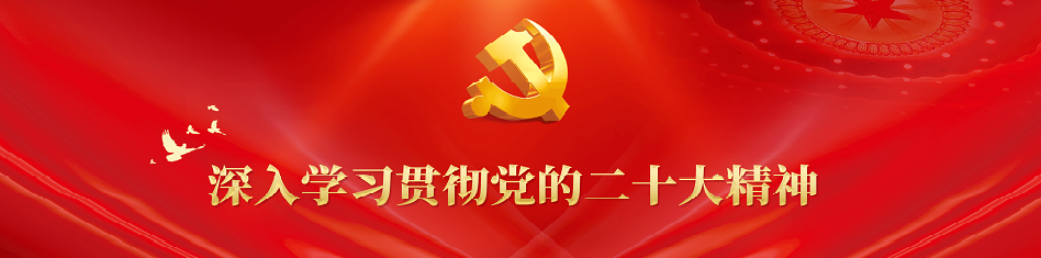 深入学习贯彻党的二十大精神